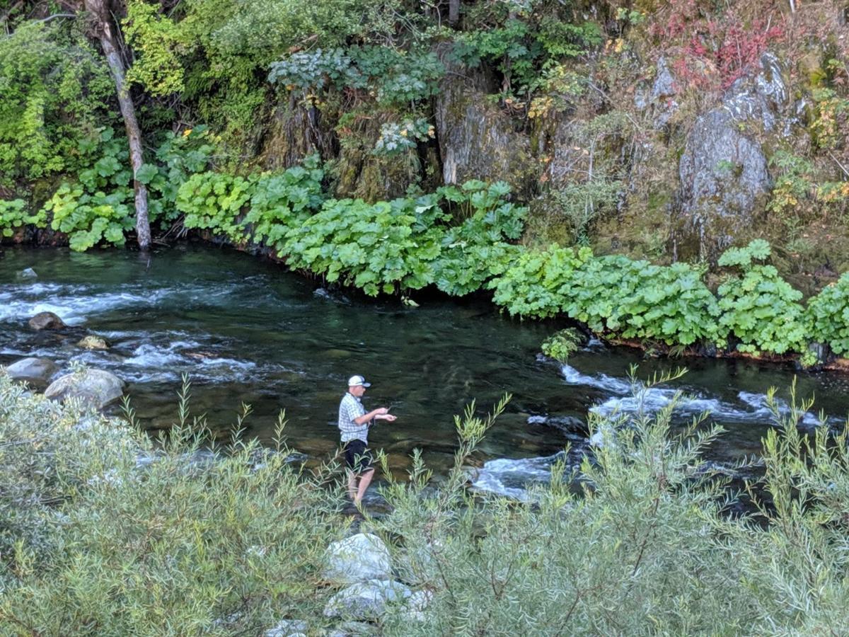 Inn Carriage House Downieville